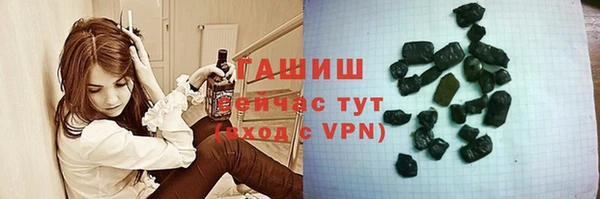 индика Алзамай