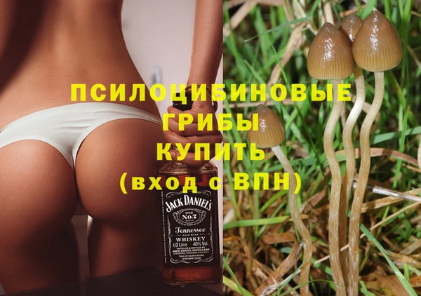 молекула духа Кукмор